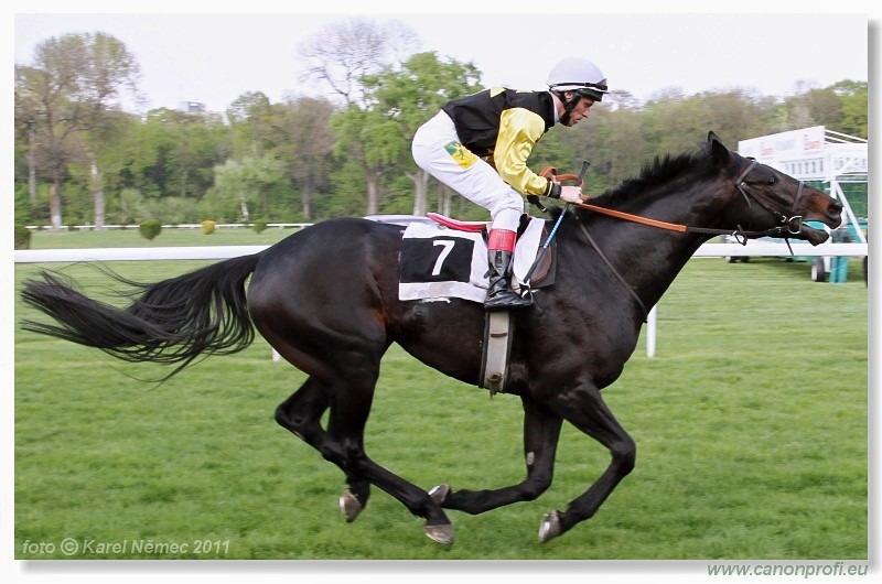 Bratislava - 17. aprla 2011 