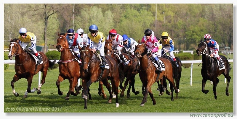 Bratislava - 17. aprla 2011 