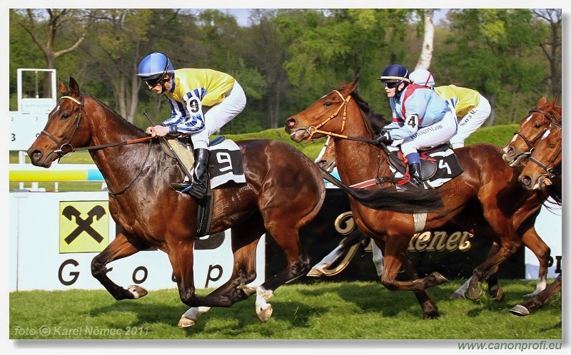 Bratislava - 17. aprla 2011 