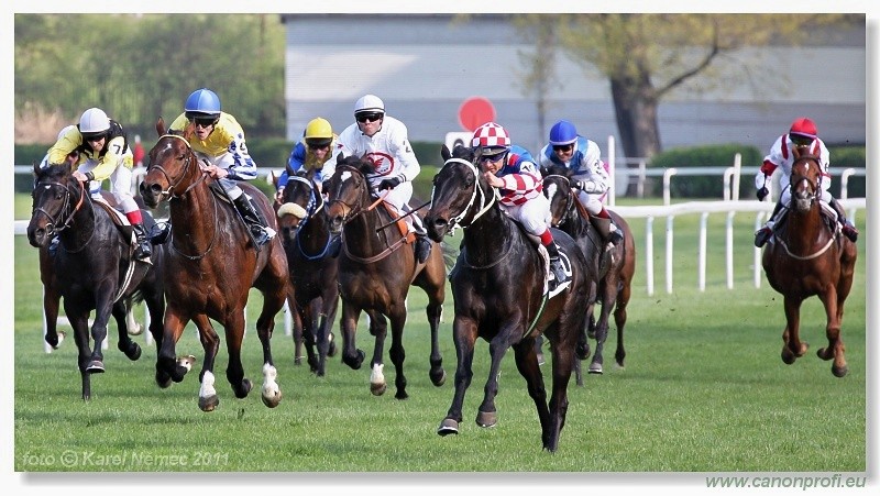 Bratislava - 17. aprla 2011 