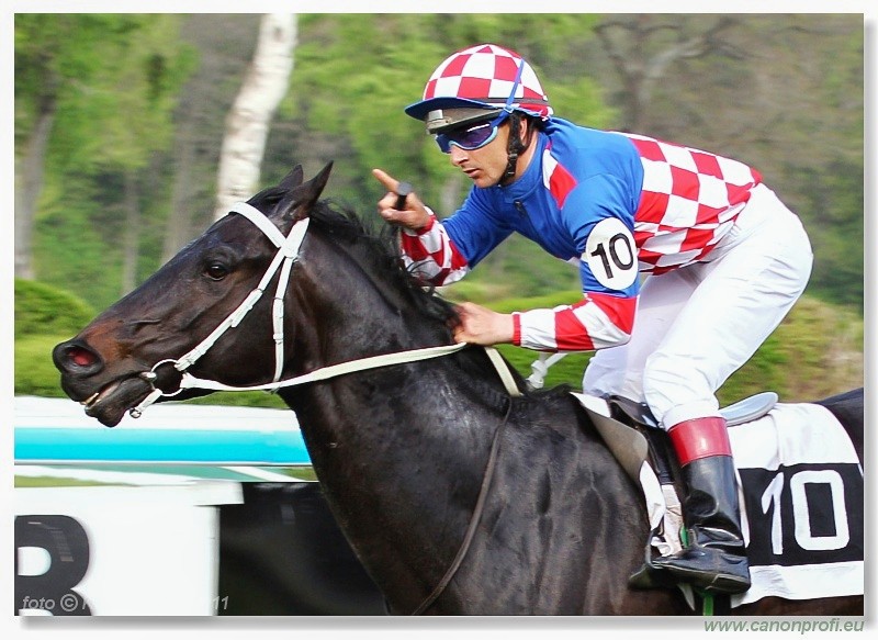 Bratislava - 17. aprla 2011 