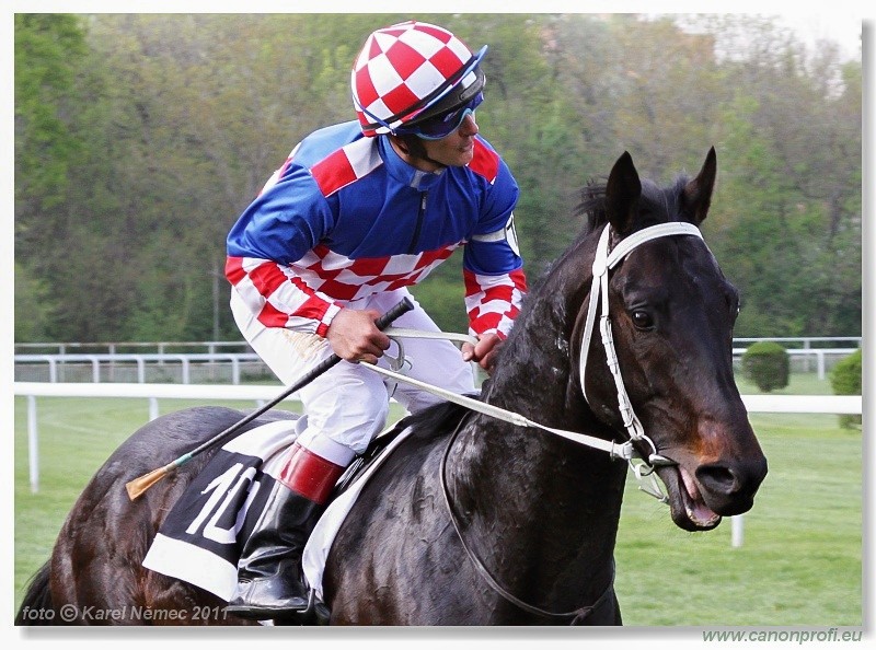 Bratislava - 17. aprla 2011 