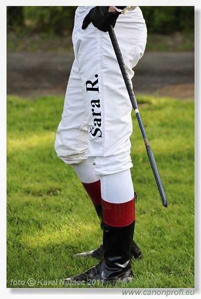 Bratislava - 17. aprla 2011 