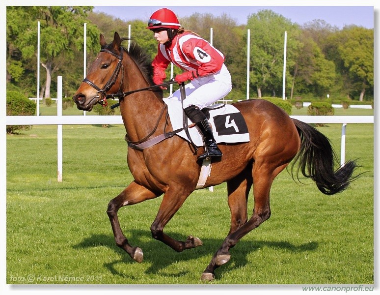 Bratislava - 17. aprla 2011 