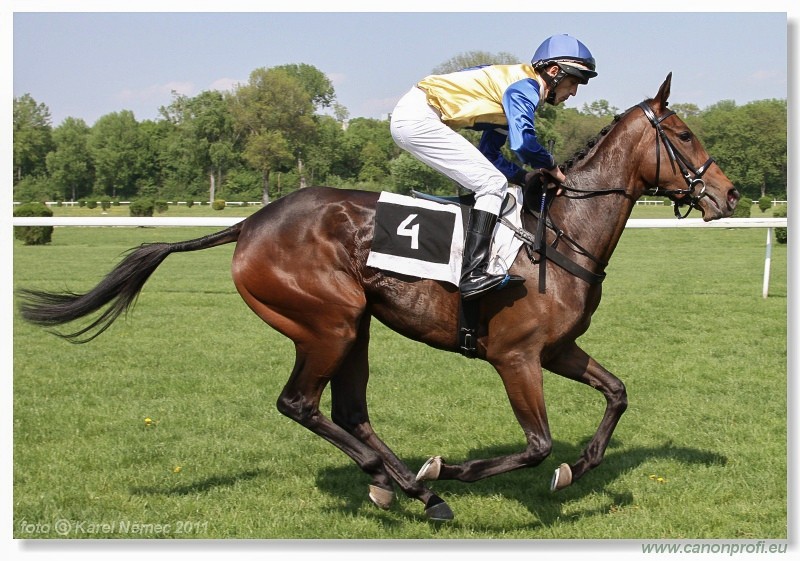 Bratislava - 24. aprla 2011 