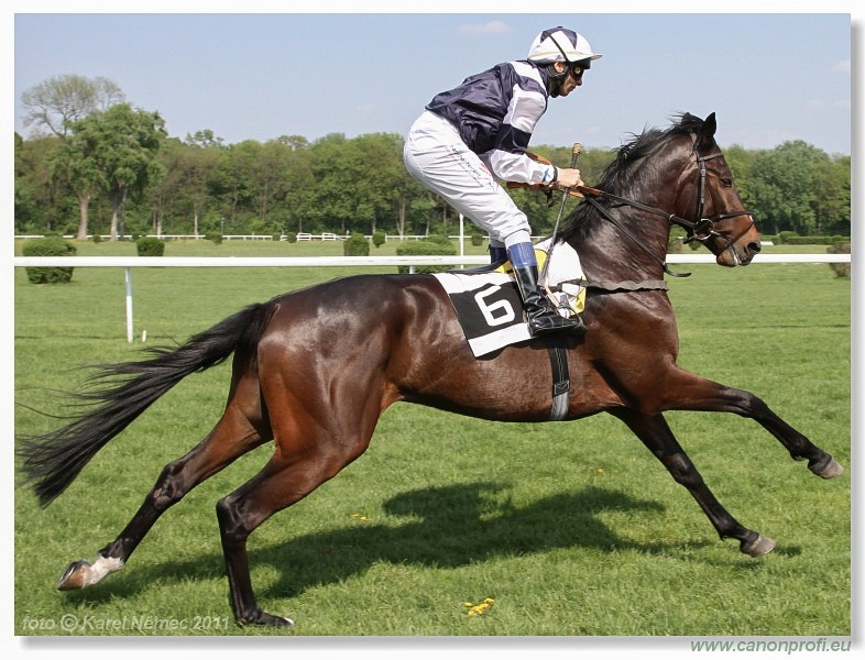 Bratislava - 24. aprla 2011 