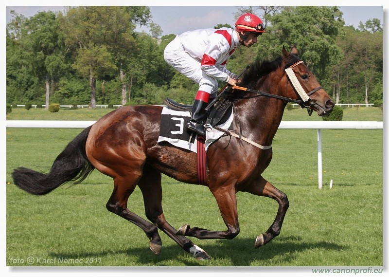 Bratislava - 24. aprla 2011 