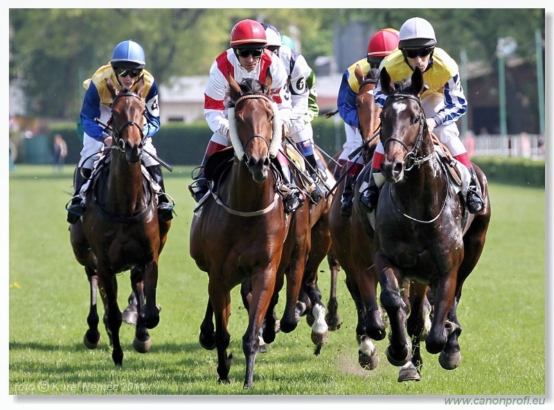 Bratislava - 24. aprla 2011 