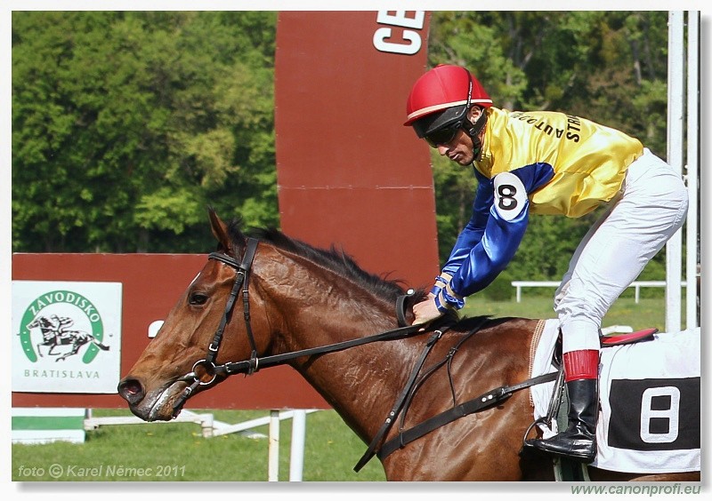 Bratislava - 24. aprla 2011 