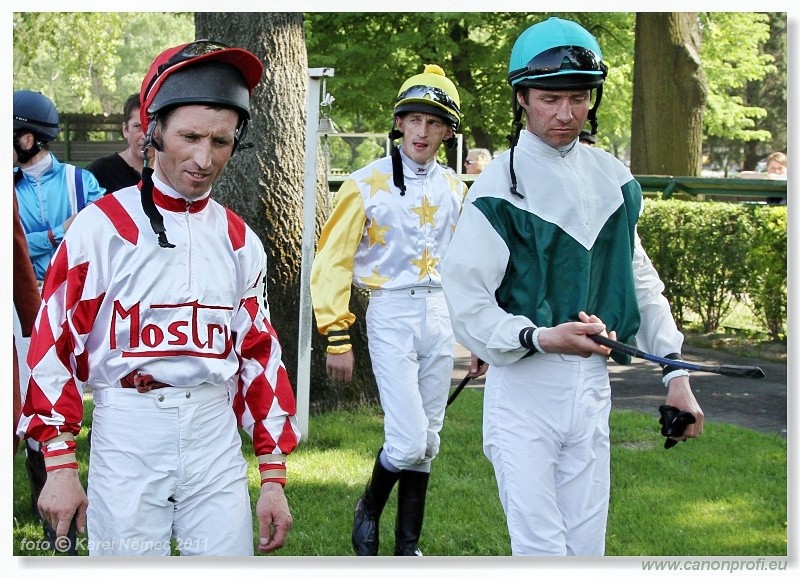 Bratislava - 24. aprla 2011 