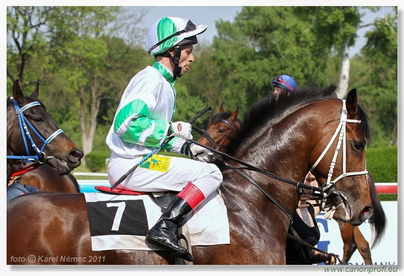 Bratislava - 24. aprla 2011 