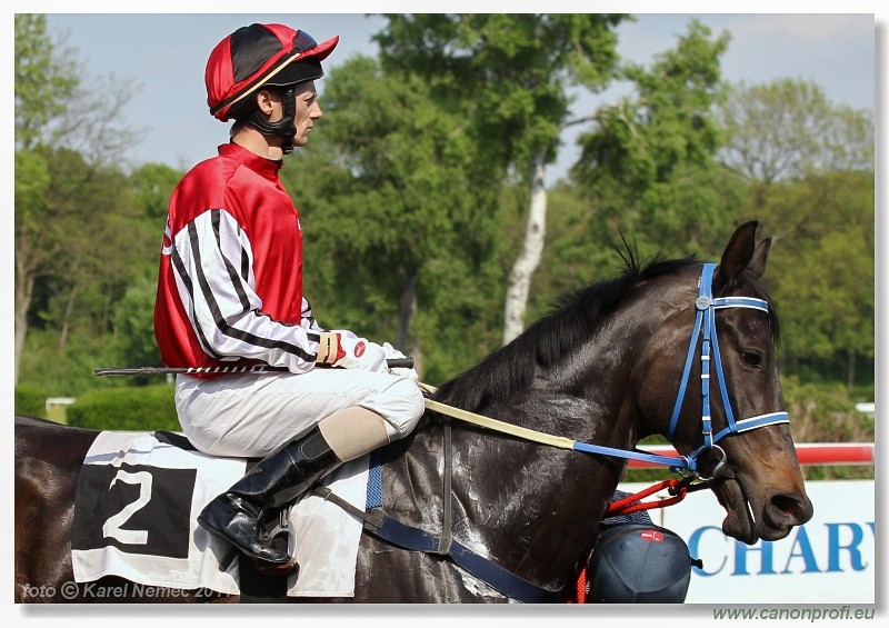 Bratislava - 24. aprla 2011 