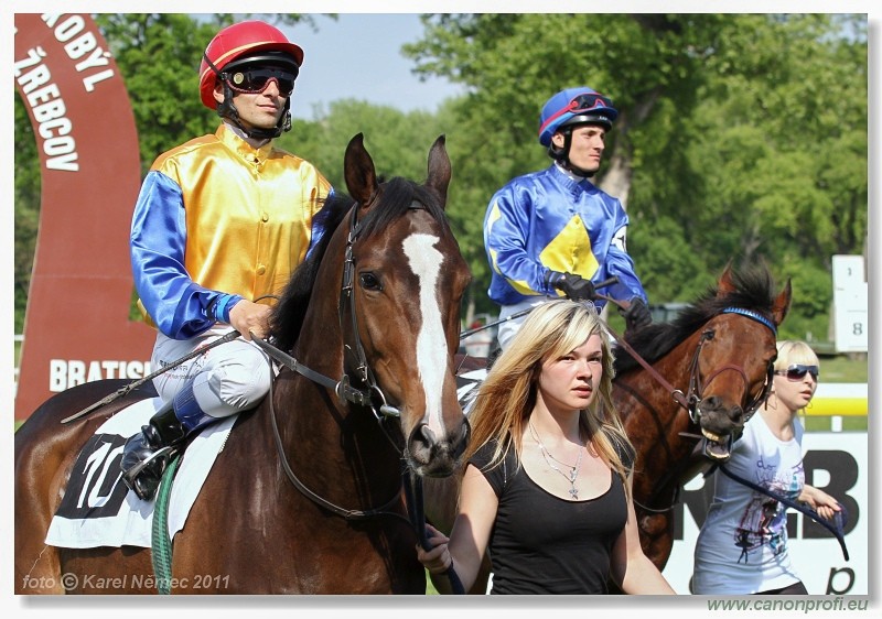 Bratislava - 24. aprla 2011 