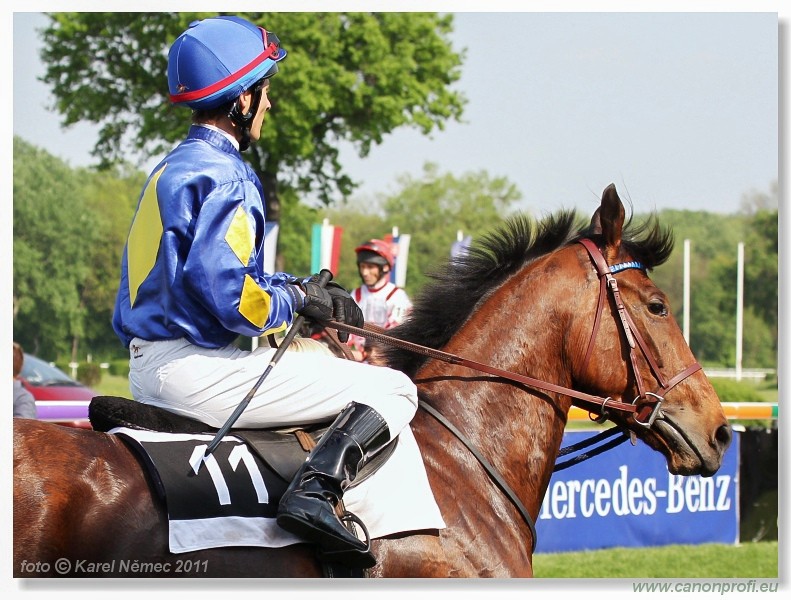 Bratislava - 24. aprla 2011 