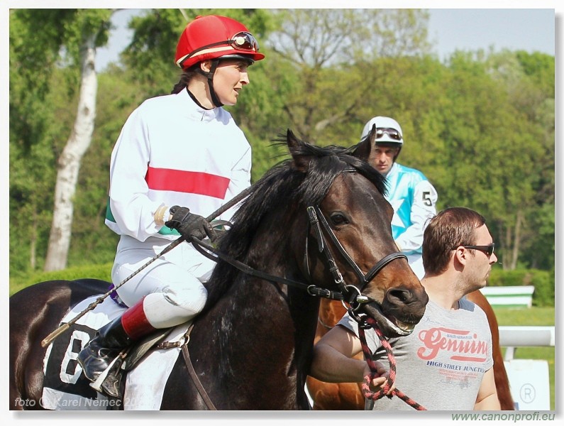 Bratislava - 24. aprla 2011 