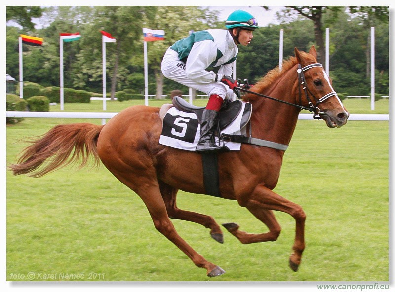 Bratislava - 15. mja 2011 