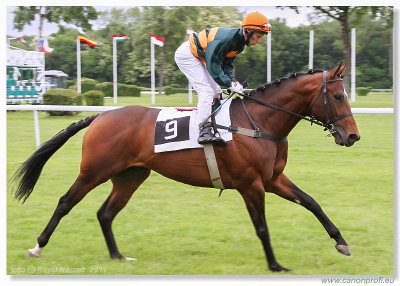 Bratislava - 15. mja 2011 