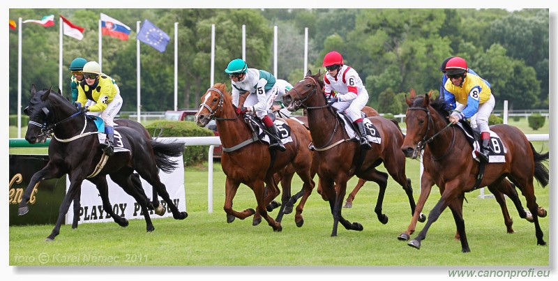 Bratislava - 15. mja 2011 