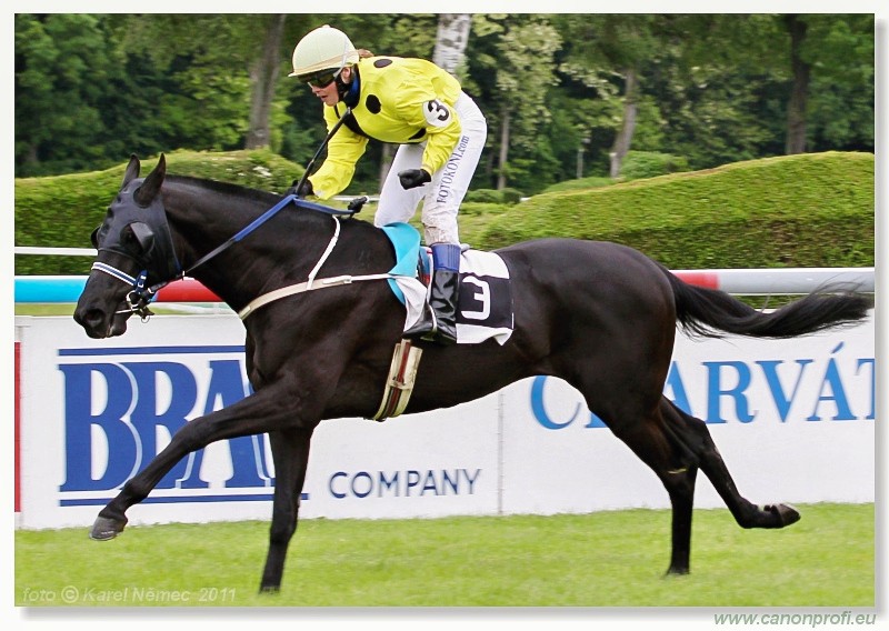 Bratislava - 15. mja 2011 