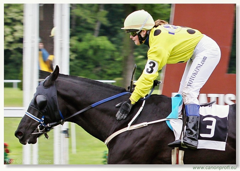 Bratislava - 15. mja 2011 