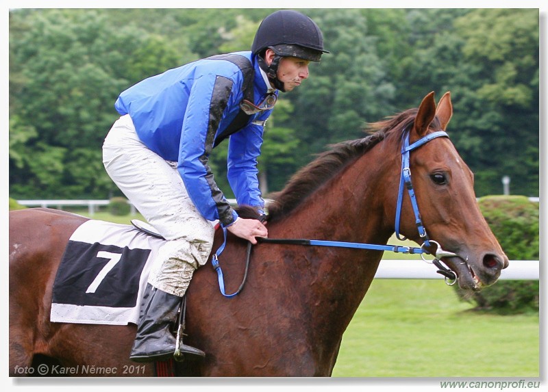 Bratislava - 15. mja 2011 