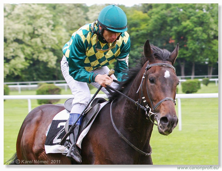 Bratislava - 15. mja 2011 