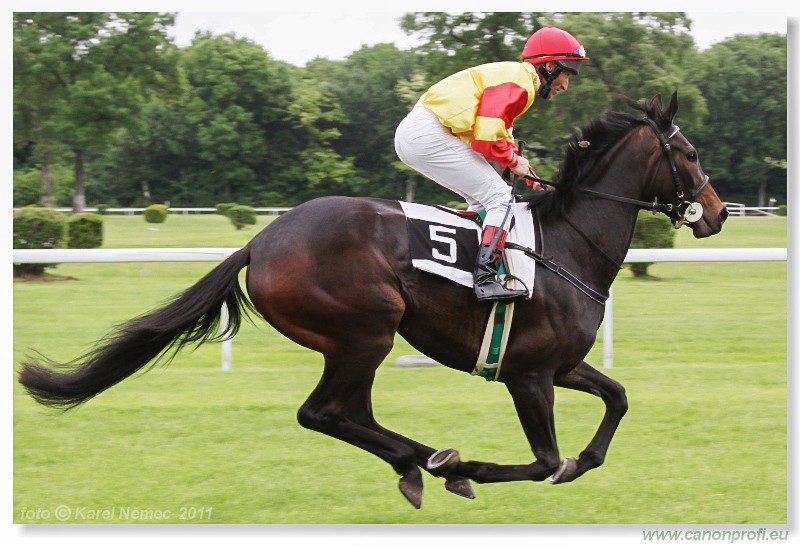 Bratislava - 15. mja 2011 