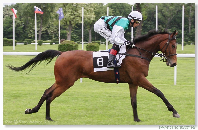 Bratislava - 15. mja 2011 