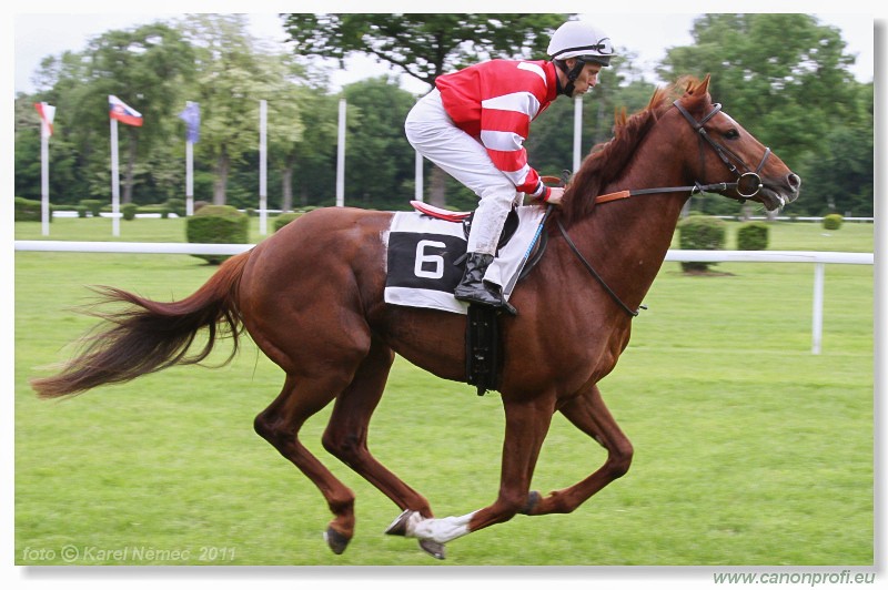 Bratislava - 15. mja 2011 