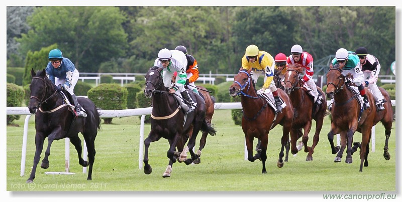 Bratislava - 15. mja 2011 