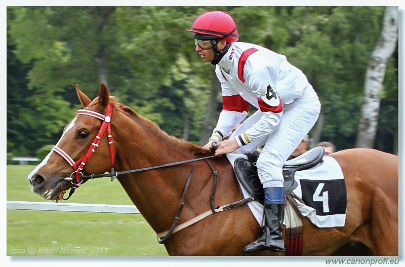 Bratislava - 15. mja 2011 