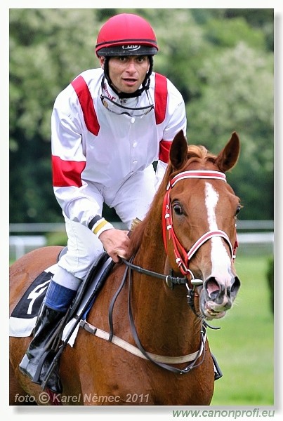 Bratislava - 15. mja 2011 