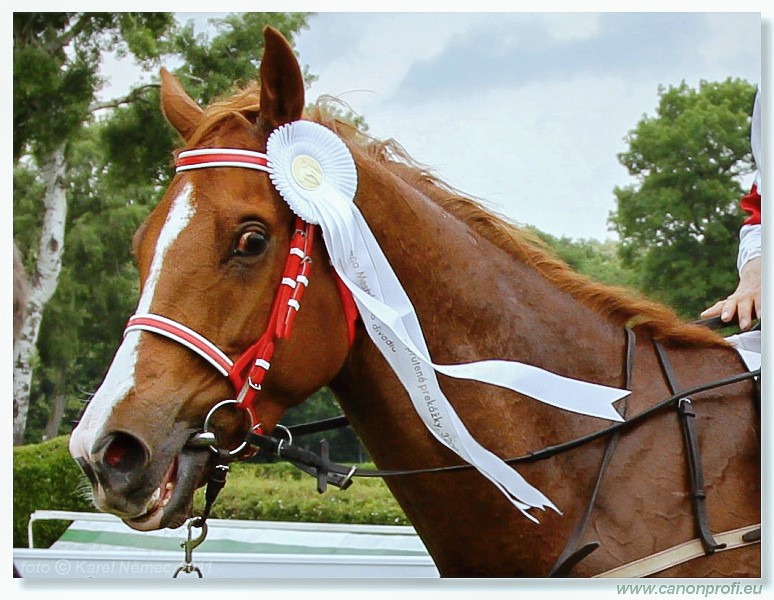 Bratislava - 15. mja 2011 