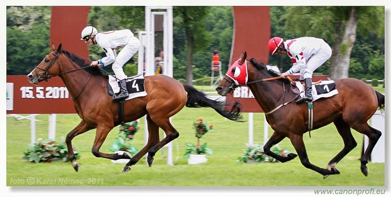 Bratislava - 15. mja 2011 