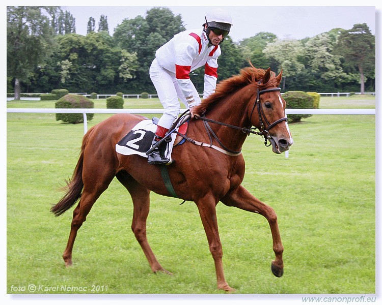 Bratislava - 15. mja 2011 