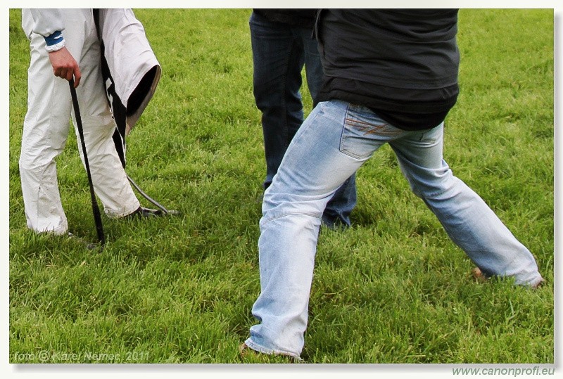 Bratislava - 15. mja 2011 