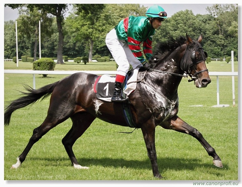 Bratislava - 5. jna 2011 
