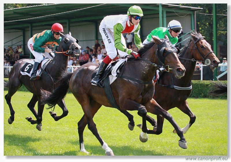 Bratislava - 5. jna 2011 