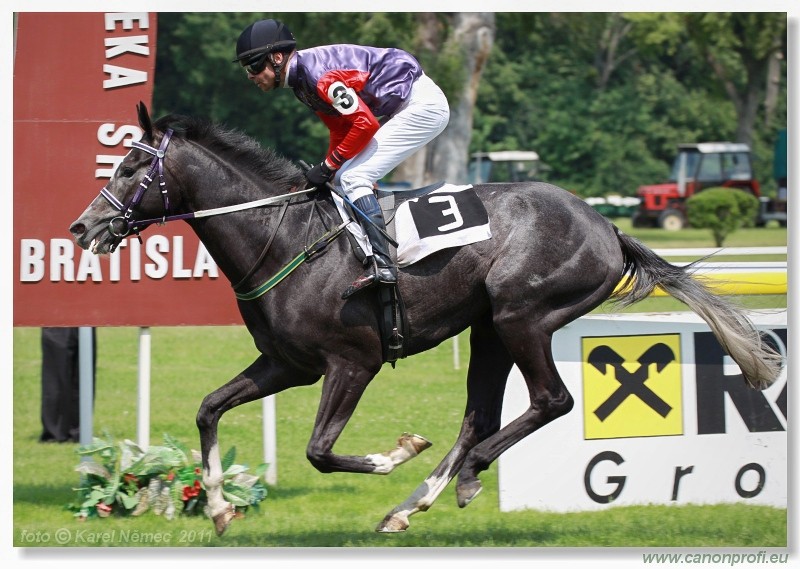 Bratislava - 5. jna 2011 