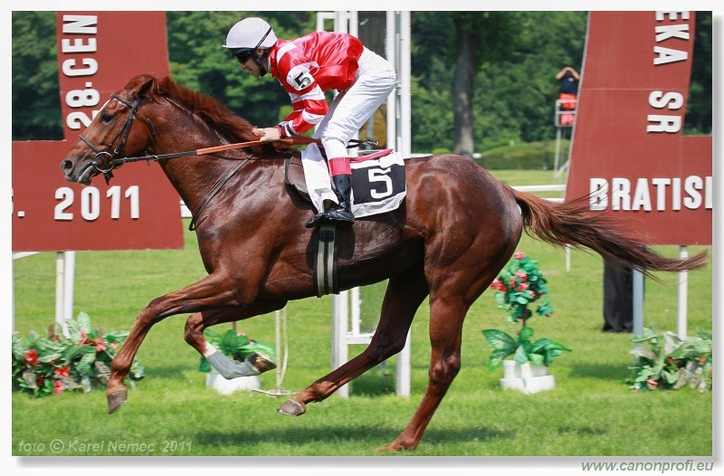 Bratislava - 5. jna 2011 