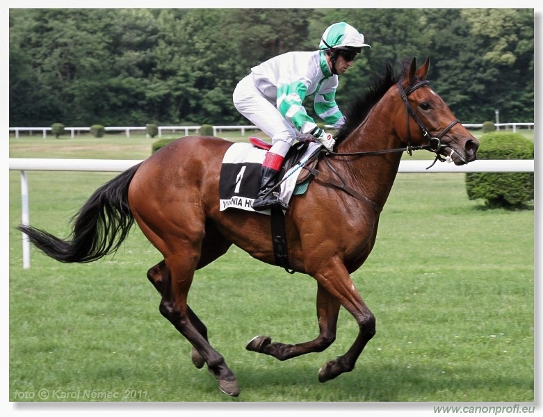 Bratislava - 5. jna 2011 