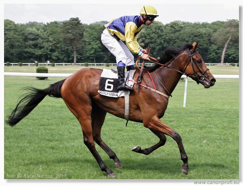 Bratislava - 5. jna 2011 