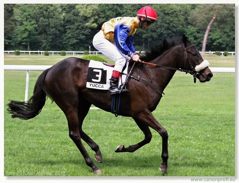 Bratislava - 5. jna 2011 