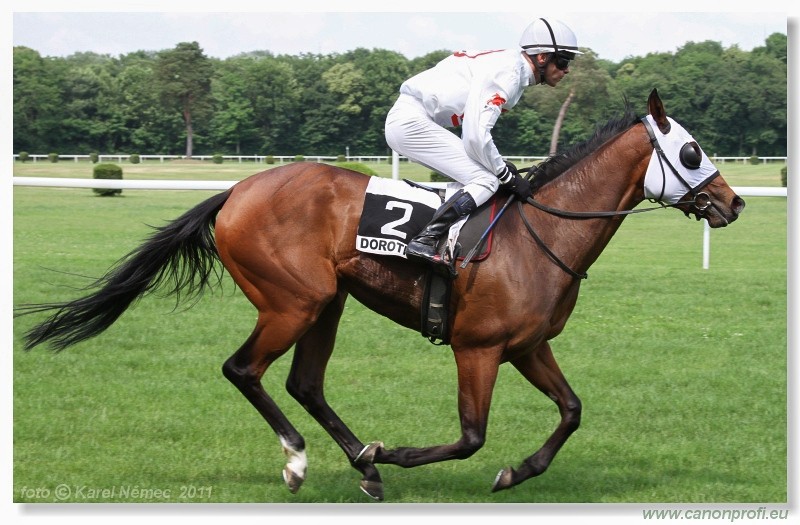 Bratislava - 5. jna 2011 