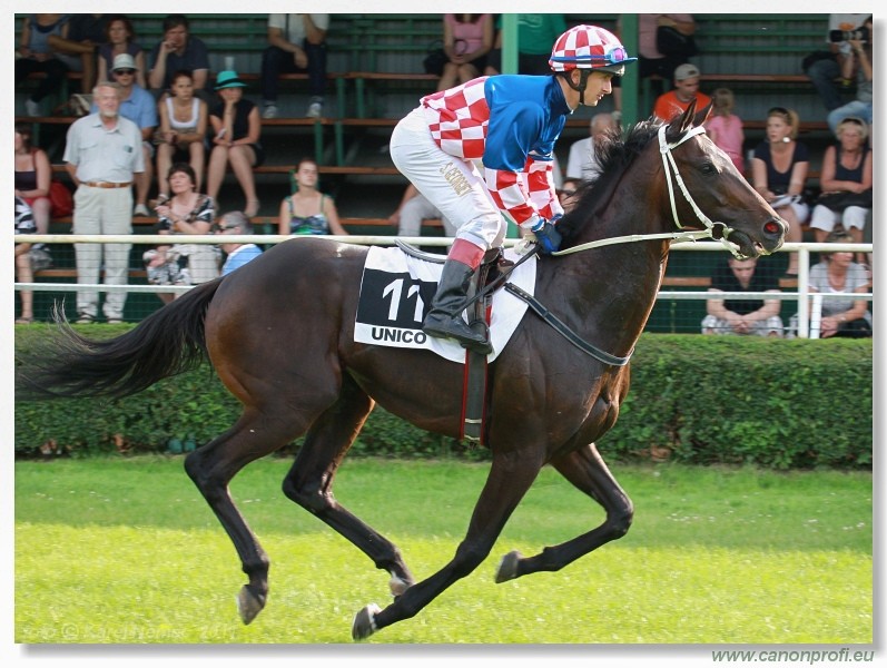 Bratislava - 5. jna 2011 