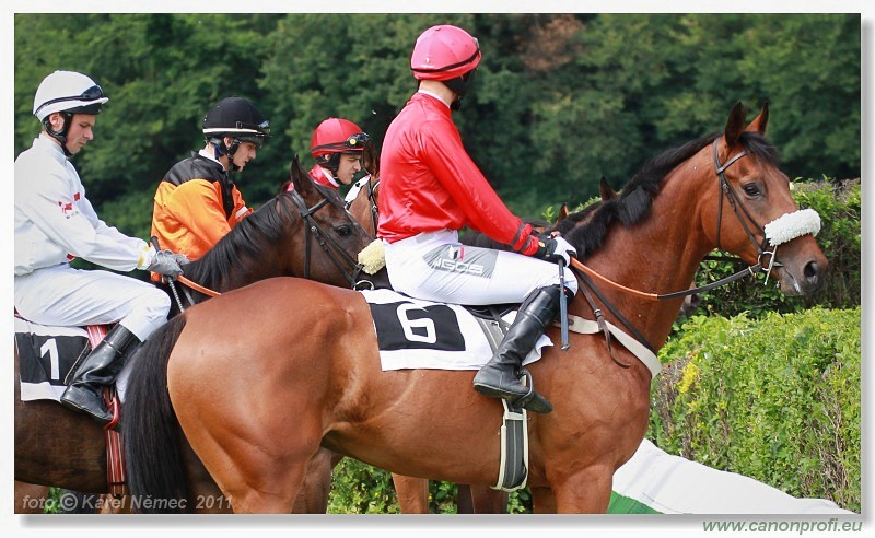 Bratislava - 26. jna 2011 