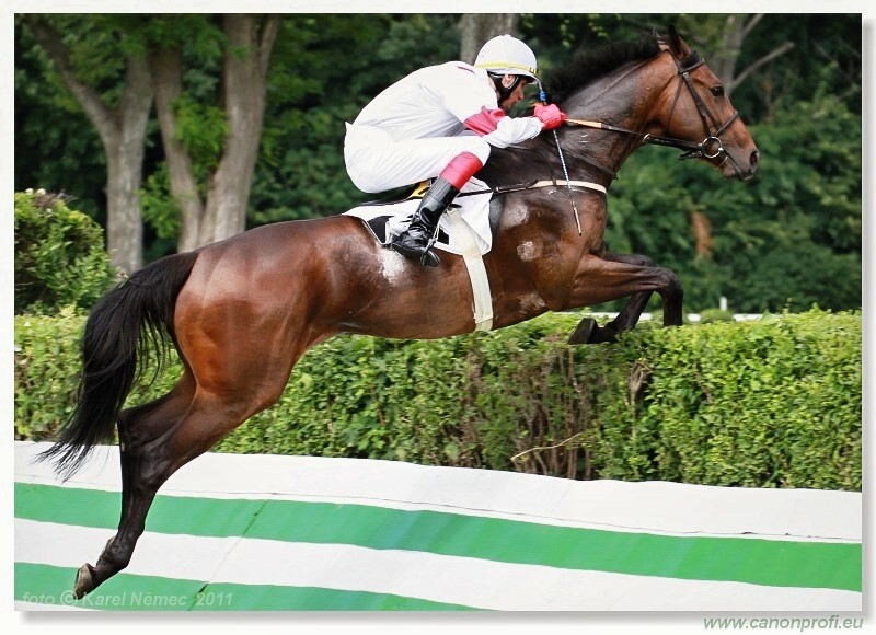 Bratislava - 26. jna 2011 