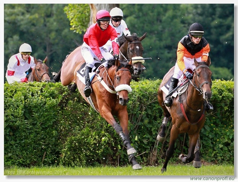 Bratislava - 26. jna 2011 