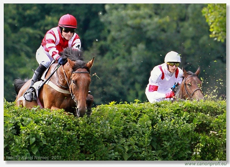 Bratislava - 26. jna 2011 