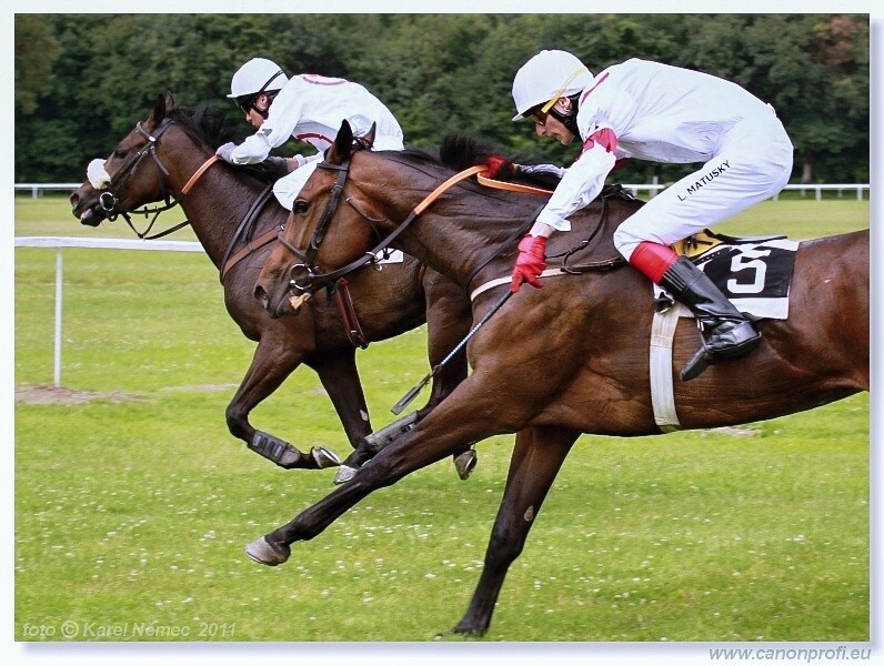 Bratislava - 26. jna 2011 